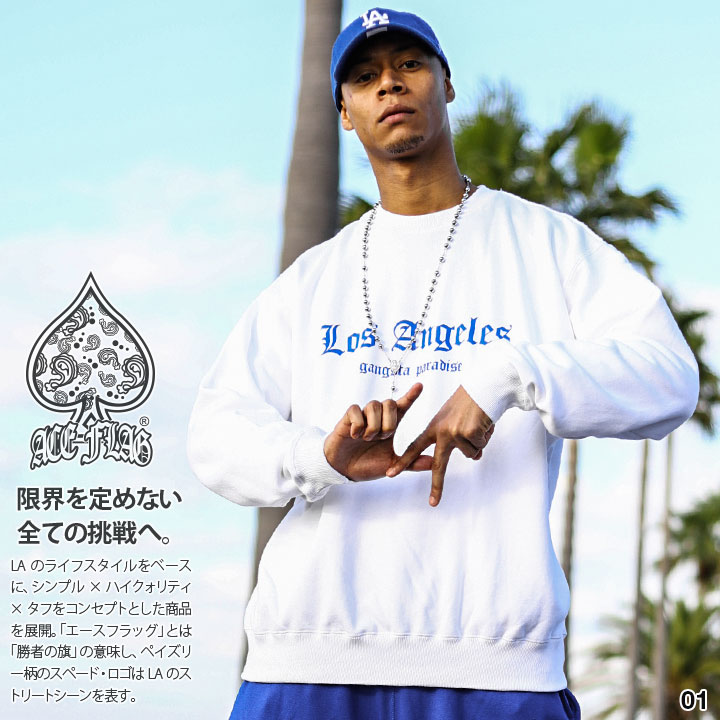 ACEFLAG（エースフラッグ） トレーナー ブランド スケボー 長袖