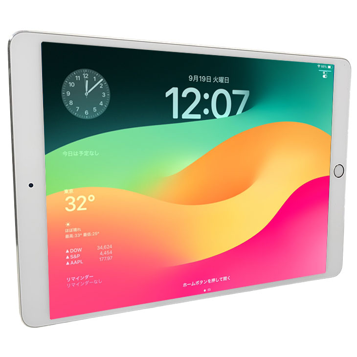iPad 【SIMフリー】Apple Pro Wi-Fi+Cel 256GB A1709 MPHH2J/A [Apple