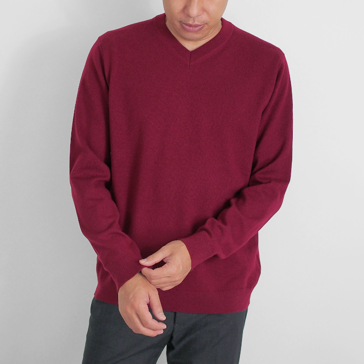 PRODIGAL（プロディガル） カシミヤ 100％ メンズ Vネック セーター