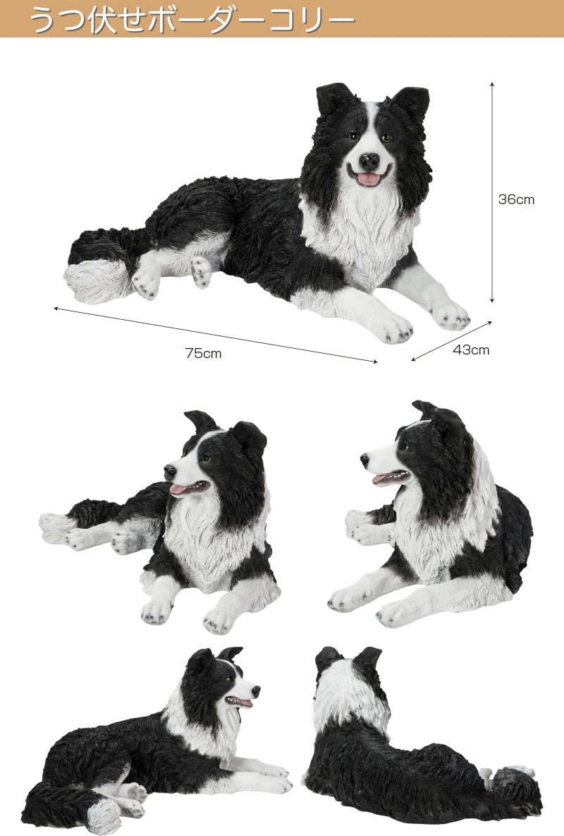 うつぶせ ボーダーコリー 75 x 43 36 cm (幅x奥x高) 本物そっくり