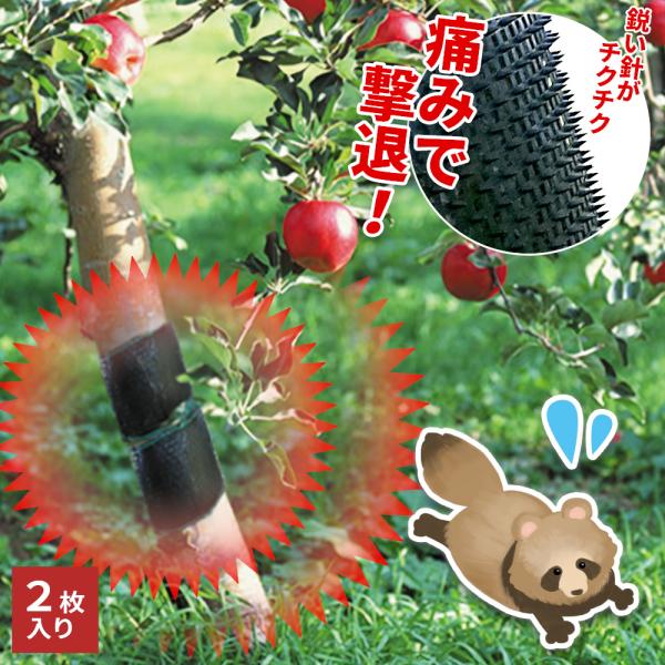 獣よけ 害獣対策グッズ 小動物痛ガール ブラック 2枚入り EG-56 ｜ 針