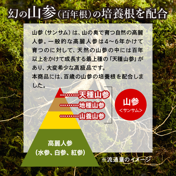 AFC（エーエフシー） 伝承の健康源 高麗紅人参&山参百年根 30日分 高麗