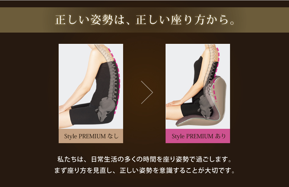 Style（スタイル） 爆買 姿勢ケアシート Style PREMIUM プレミアム MTG