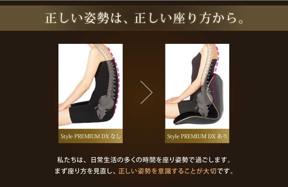 Style（スタイル） 爆買 姿勢ケアシート Style PREMIUM DX プレミアム