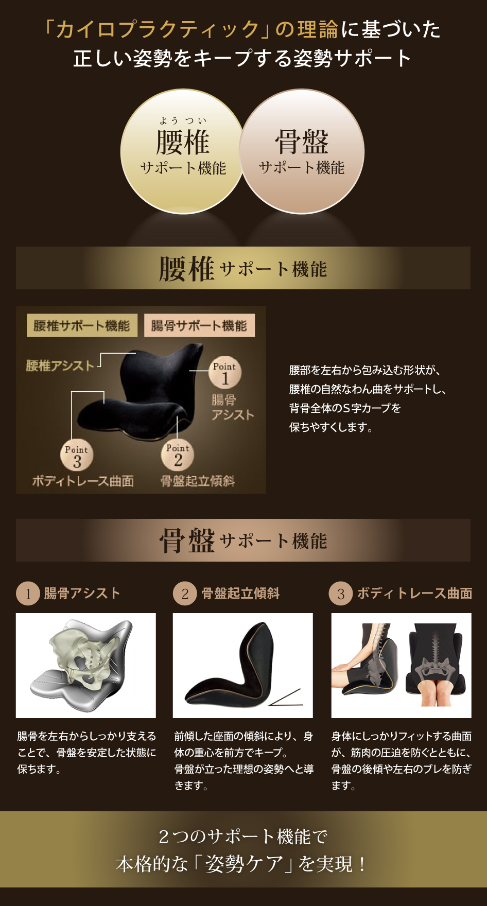 Style（スタイル） 爆買 姿勢ケアシート Style PREMIUM DX プレミアム