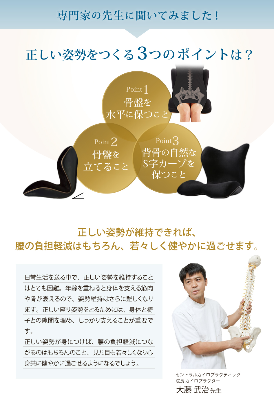 Style（スタイル） 爆買 姿勢ケアシート Style PREMIUM DX プレミアム