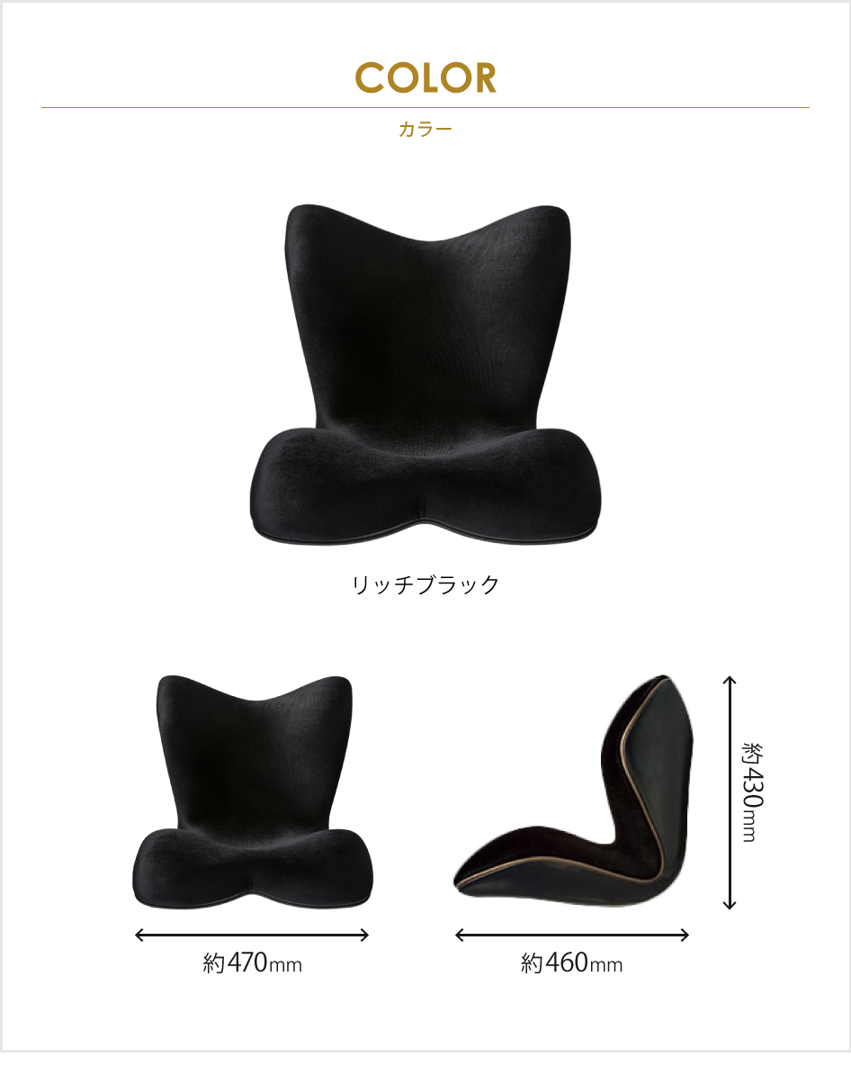 Style（スタイル） 爆買 姿勢ケアシート Style PREMIUM DX プレミアム