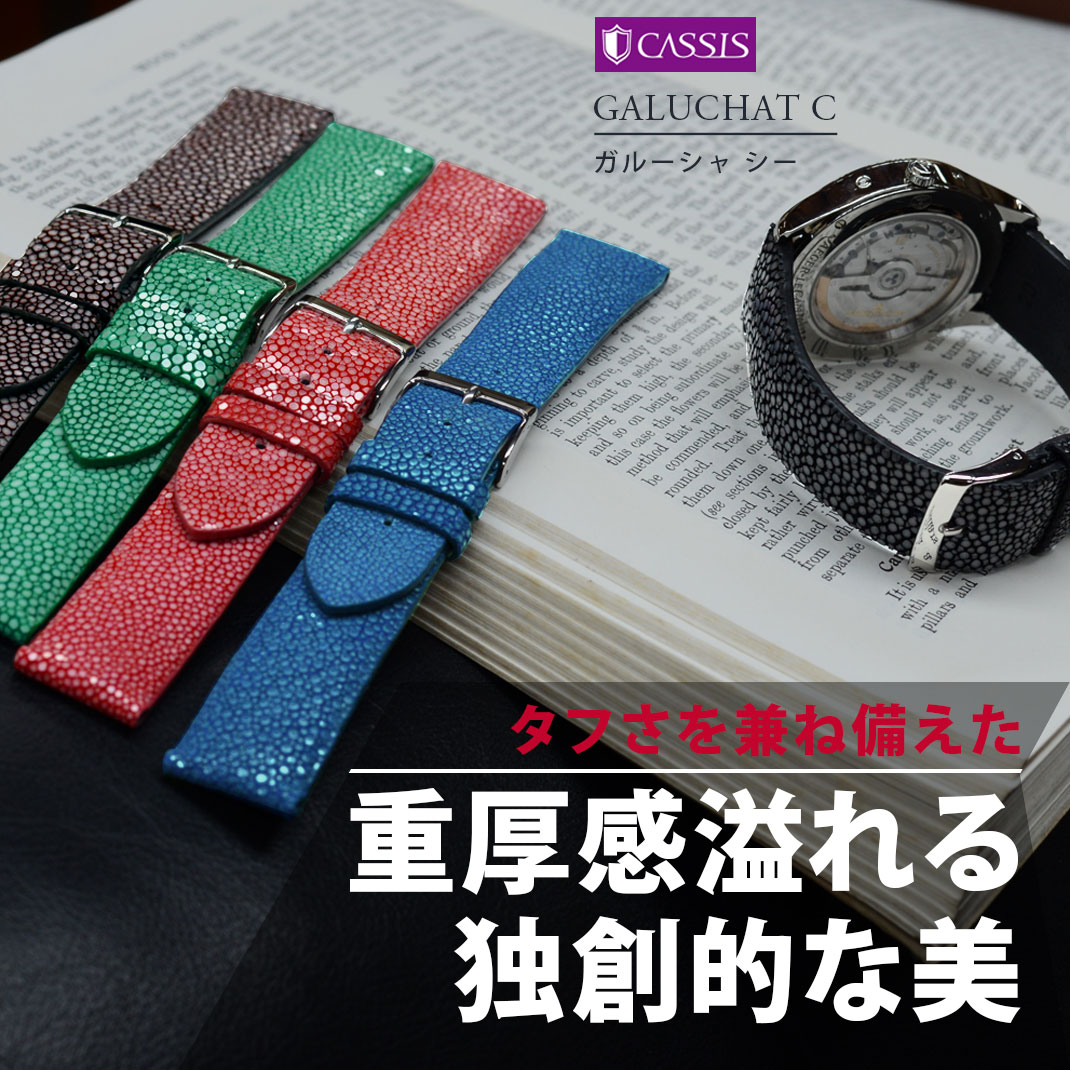 CASSIS（カシス） 腕時計ベルト バンド ガルーシャ エイ革 本革 裏面