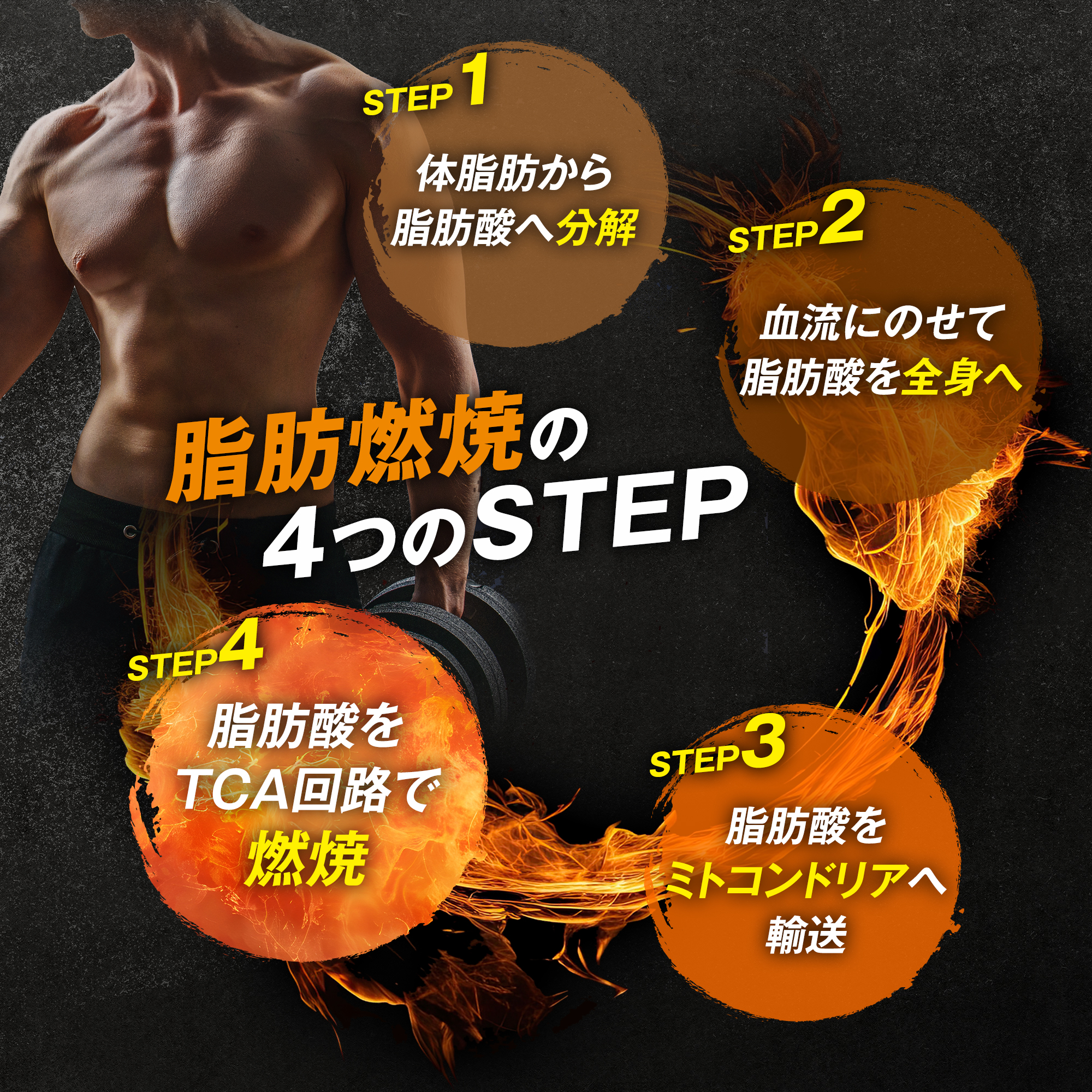 WINZONE 【期間限定！ポイント10倍 1日23:59まで】運動中の脂肪燃焼を