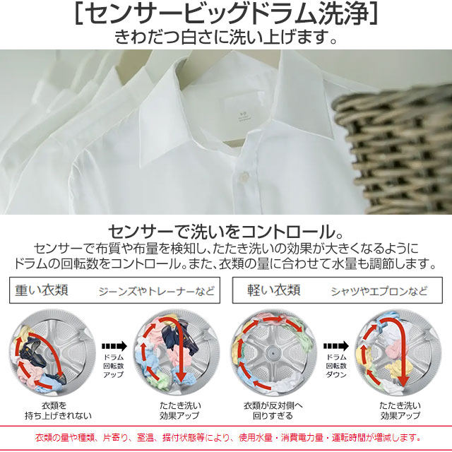 日立（HITACHI） ビッグドラム 洗濯機 洗濯・脱水容量11kg BD-SG110KL