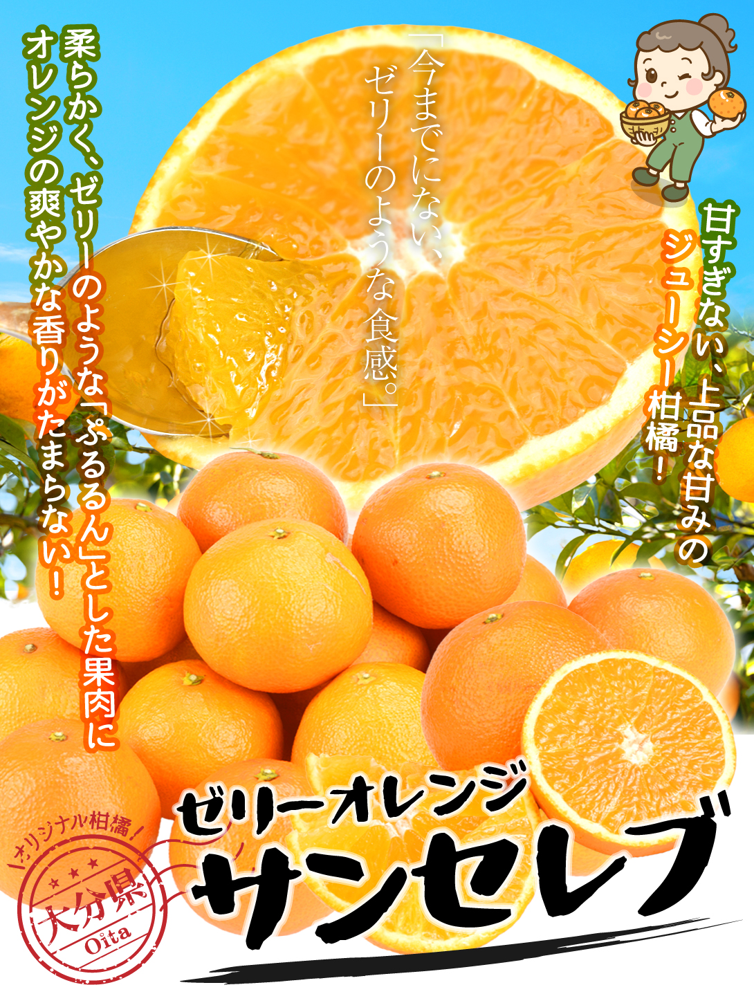 みかん 10kg お買得 サンセレブ 大分産 ご家庭用 送料無料 食品 : 食