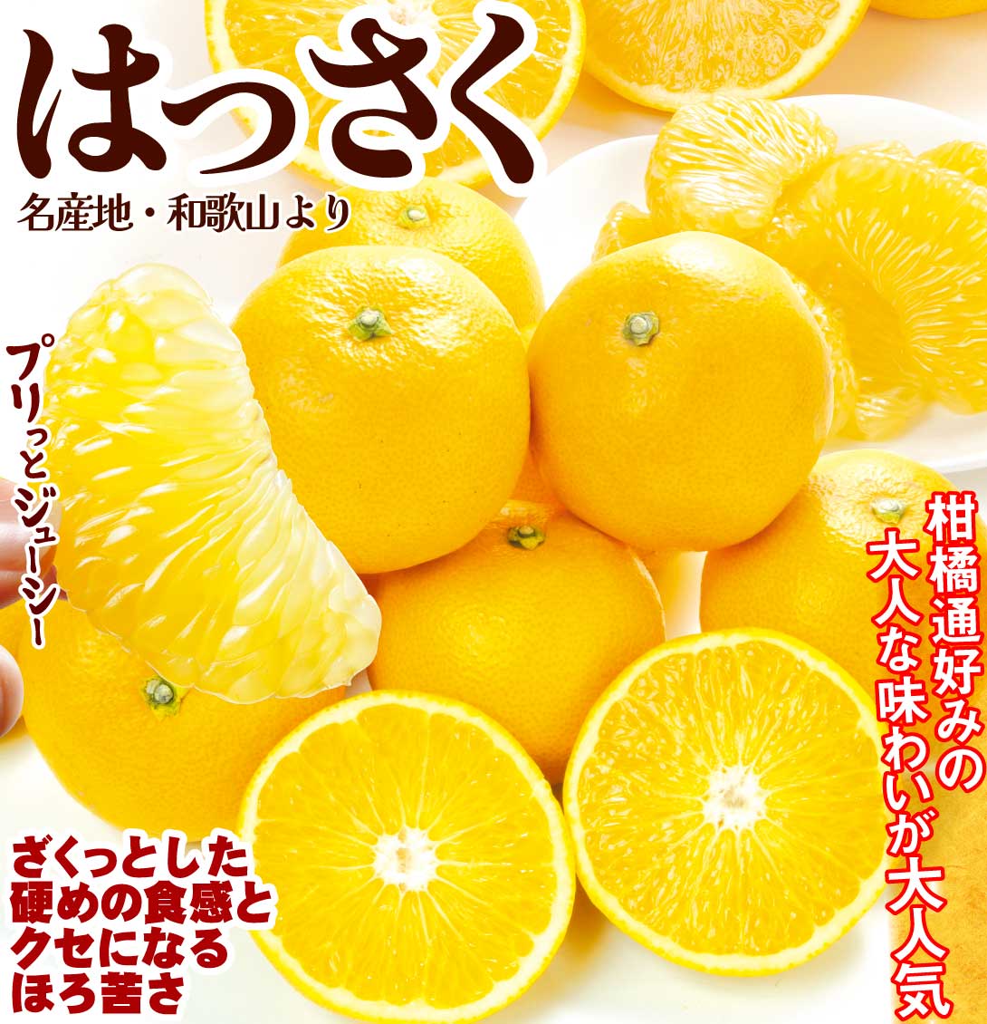 みかん 10kg 黒潮の極甘 はっさく 八朔 和歌山産 紀南 名産地 ご家庭用
