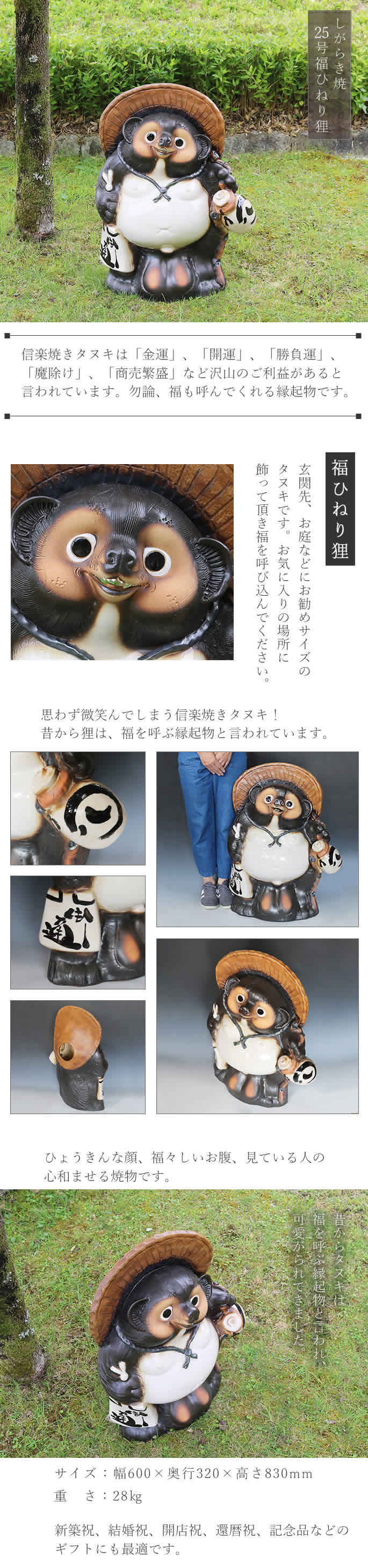 信楽焼 25号福ひねり狸 たぬき タヌキ 開運 縁起物 可愛い 陶器 商売
