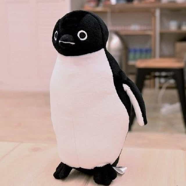 Suicaのペンギン ぬいぐるみ Mサイズ:TRAINIART JRE MALL店通販｜JRE