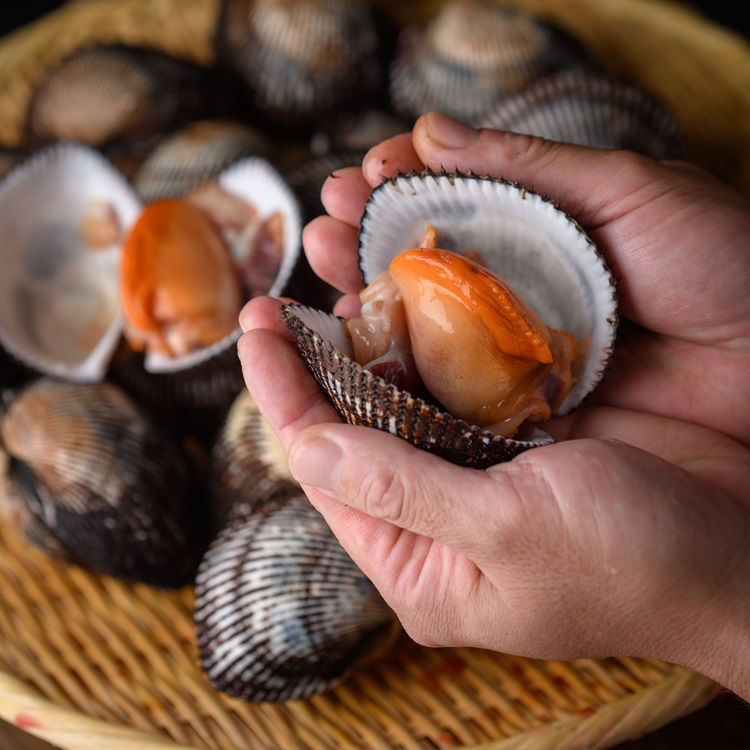 宮城】漁亭 浜や 閖上赤貝 まるごと赤貝5個入り 送料無料 【のもの