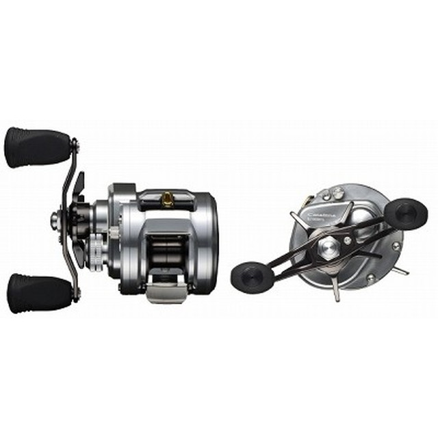 ダイワ（Daiwa） 15キャタリナ BJ100SH－L （左