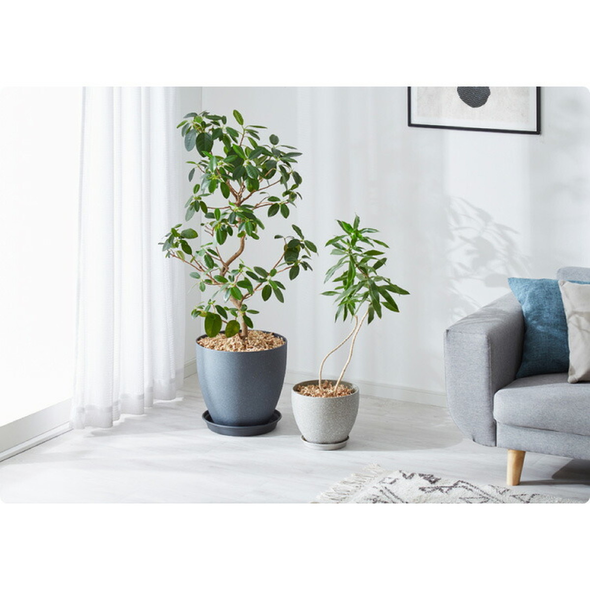 植木鉢 鉢 直径32.5cm 11号 おしゃれ モダン ガーデニング 植木鉢 鉢