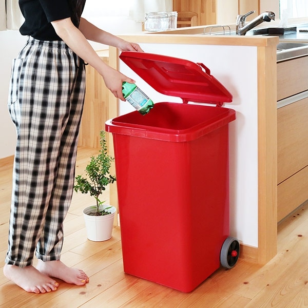 DULTON ゴミ箱 65L 屋外兼用トラッシュカン （ ごみ箱 65リットル 大