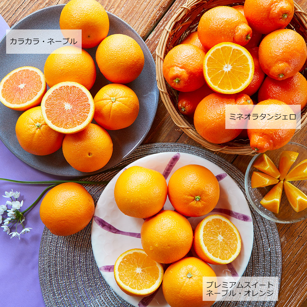 アメリカ産 プレミアムスイート ネーブル・オレンジ（Lサイズ 28個