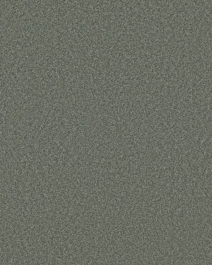 Del Rio Ii - Zinc Carpet | Shaw Floors