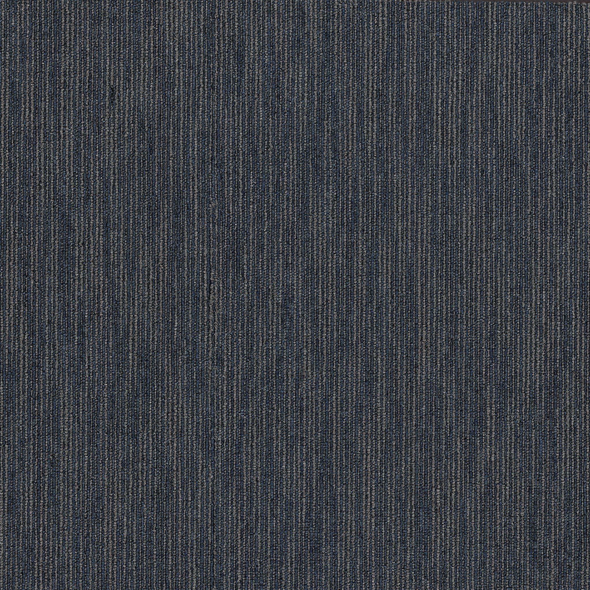 Dynamo 54857 in color Sharp | Commercial Carpet Tile