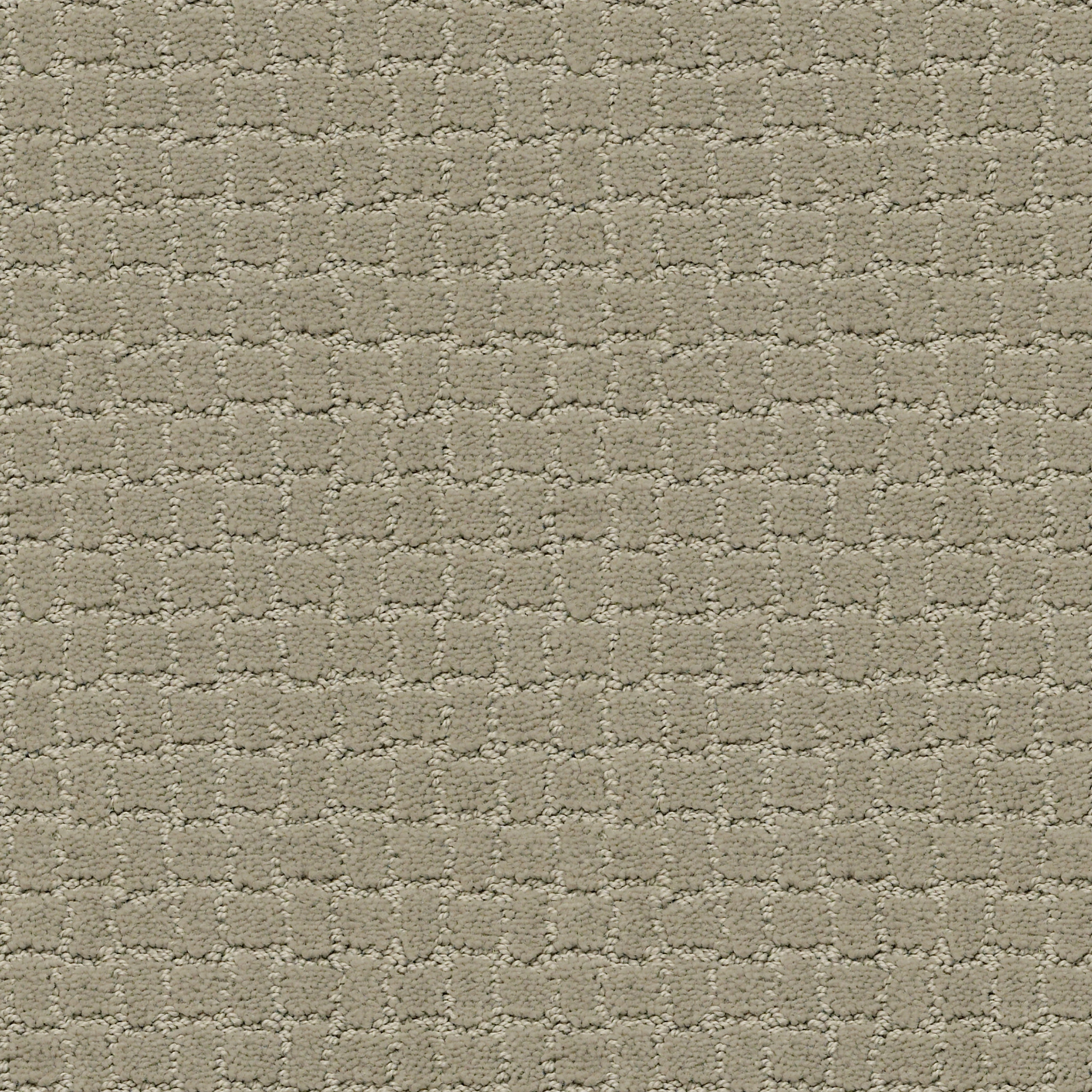 Faux Paw - 100% ANSO® High Performance Nylon in Gray Mirage