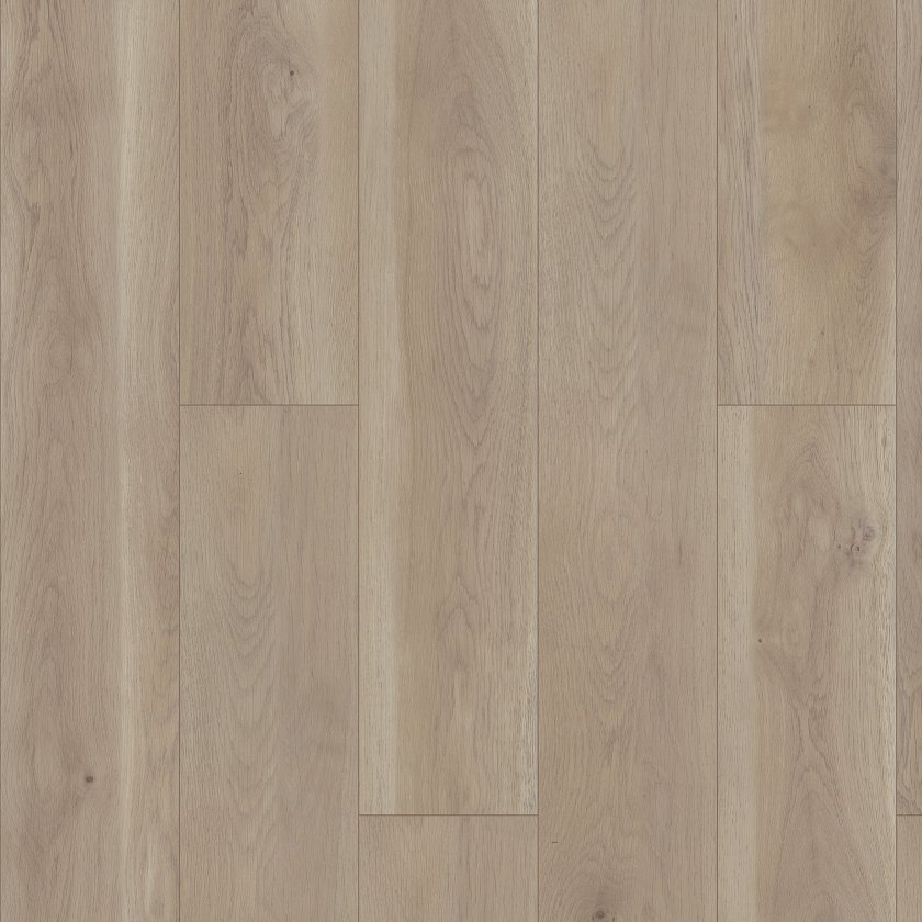 Paragon Hd+Natural Bevel - in Wisteria | Shaw Floors