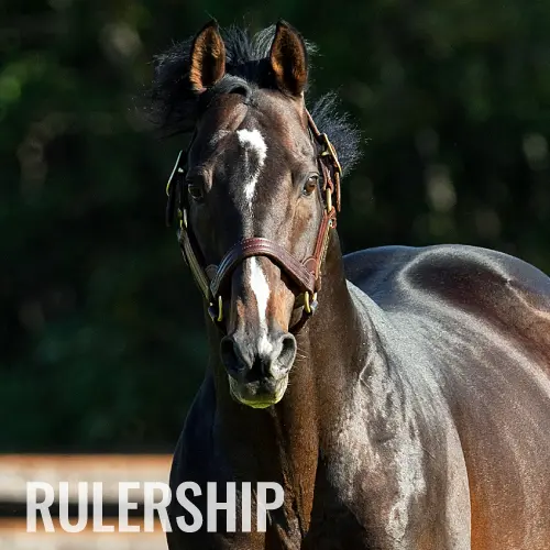社台スタリオンステーション