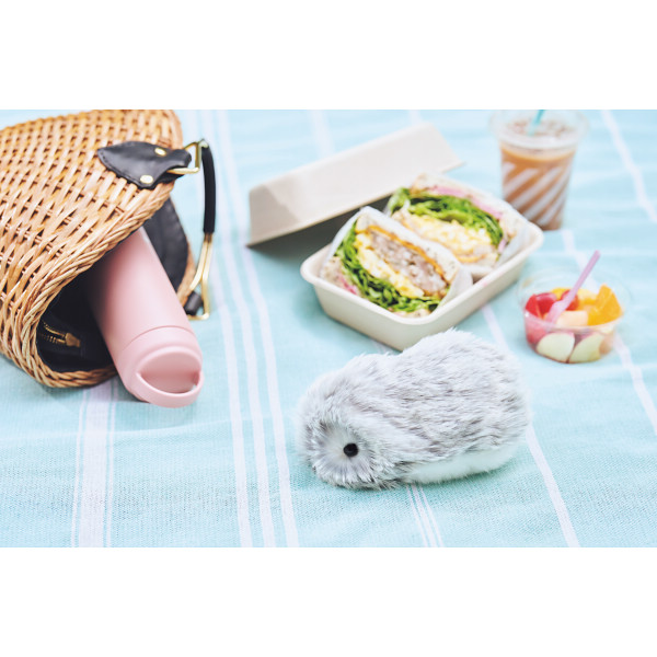 カシオ モフリンシルバー | シャディギフトモール