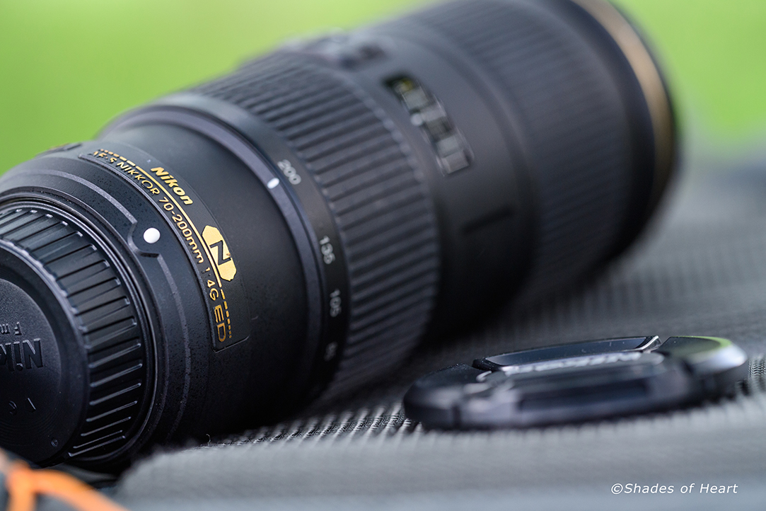 AF-S NIKKOR 70-200mm f/4G ED VR | Shades Of Heart