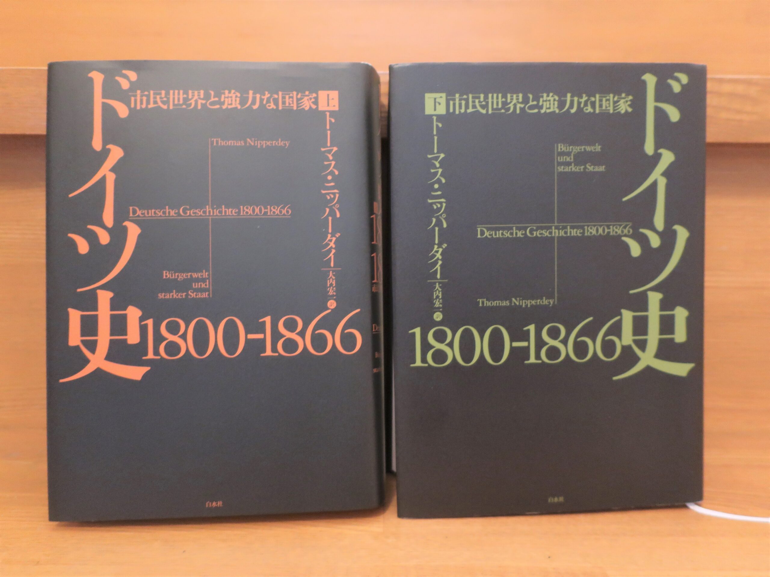 トーマス・ニッパーダイ『ドイツ史 1800-1866』あらすじと感想～ゲーテ