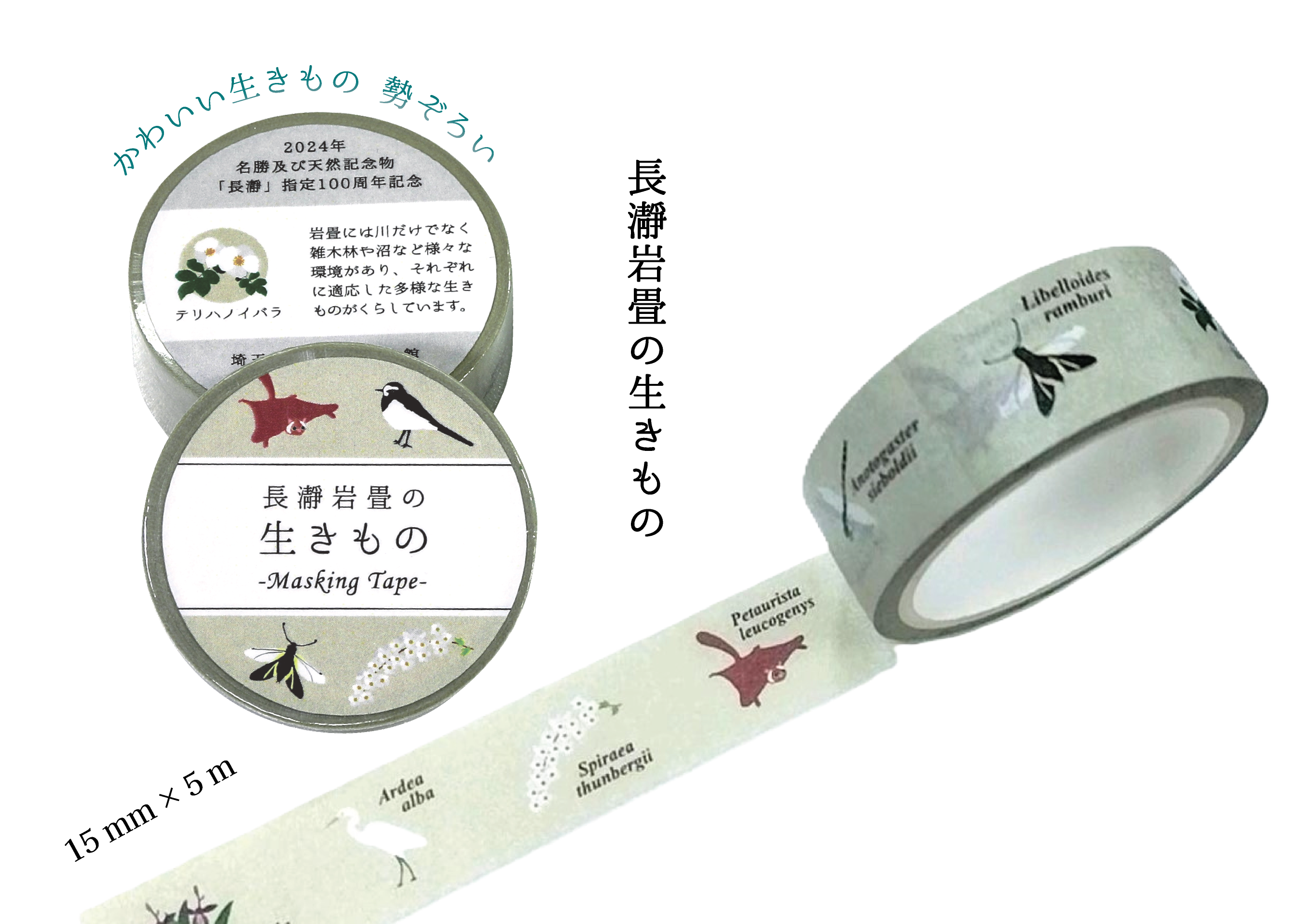 秩箱入り豪華本】実録図鑑 おもちゃ博物館 22x30センチ 【400ページ