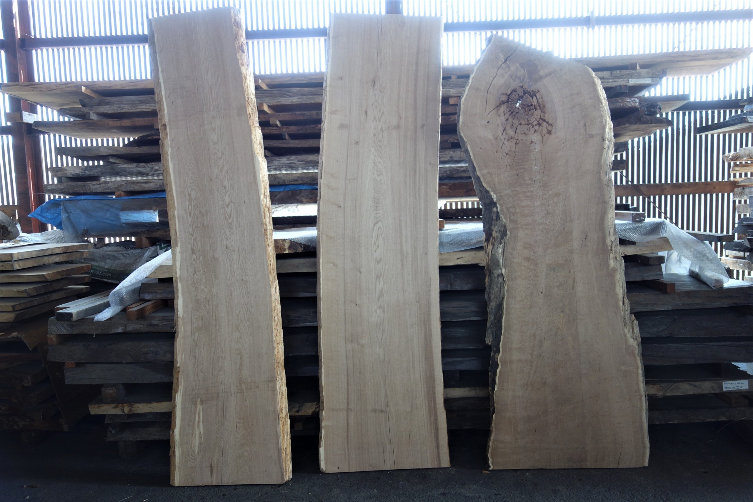 水楢（ミズナラ）一枚板 - 新発田屋 木材倉庫