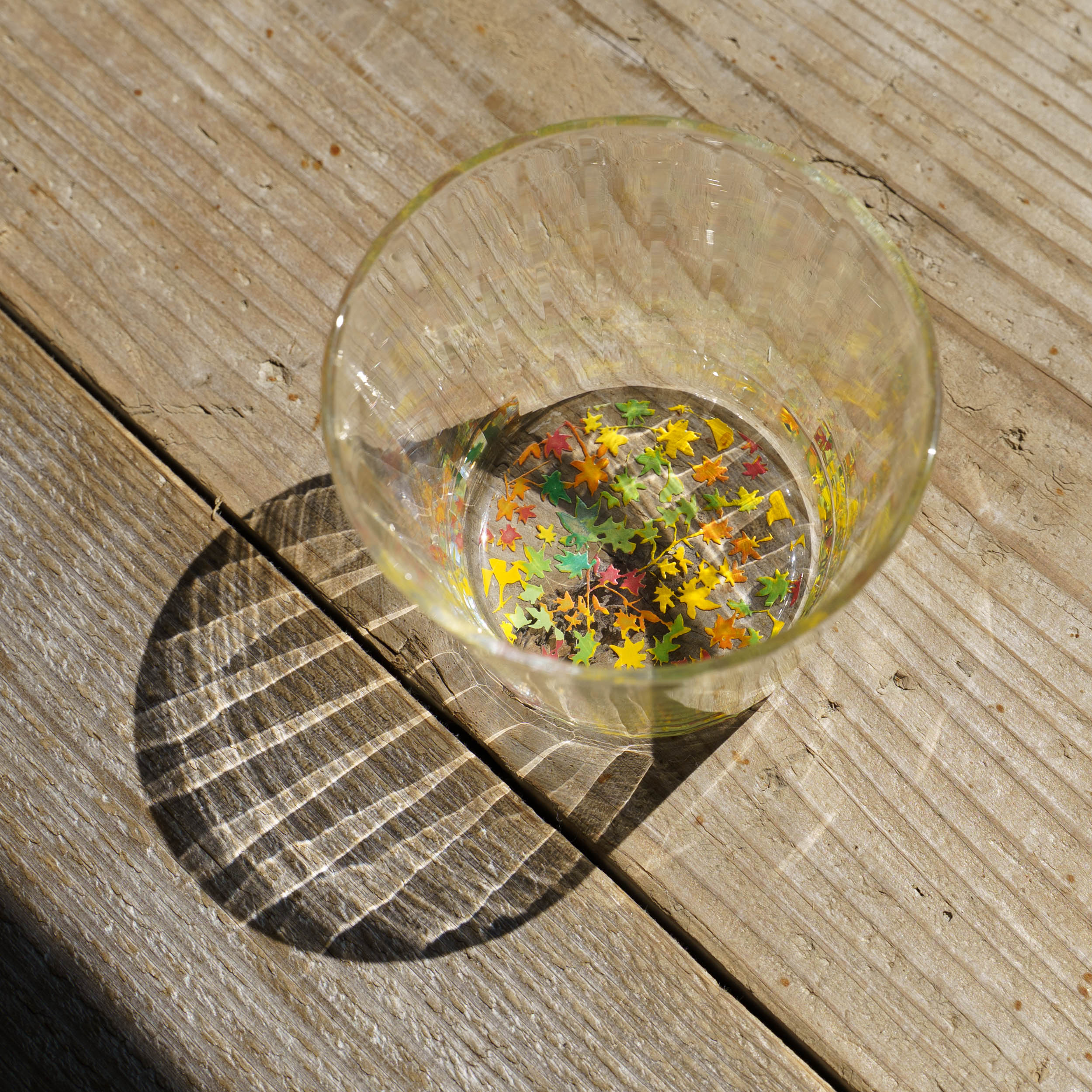 金津沙矢香 Sayaka KANAZU – 四季折折 （オンラインストア）