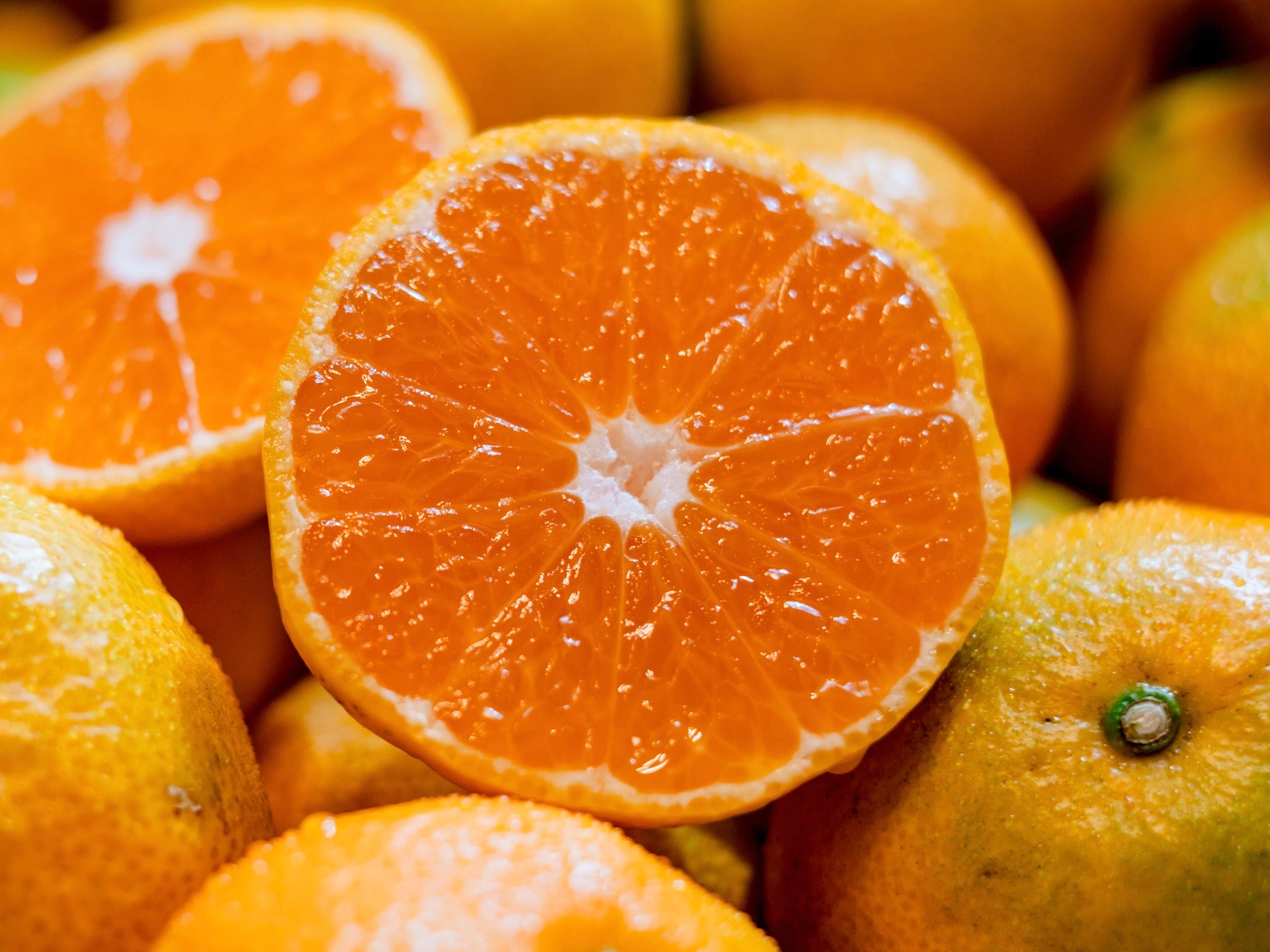 極早生みかん｜新口農園｜オンラインショップ – SHINGUCHI FARM