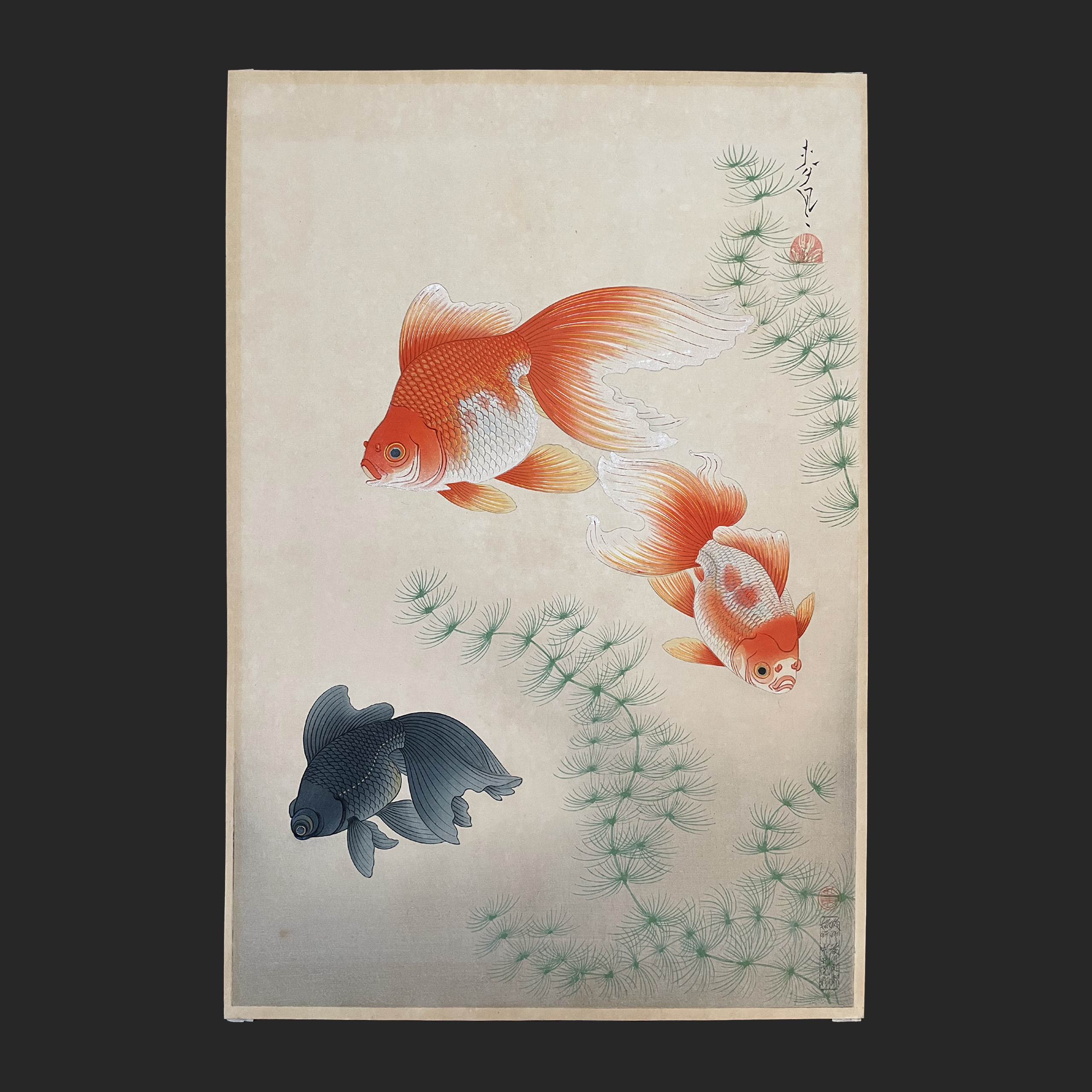 大野 麦風 ONO Bakufu 大日本魚類画集より「金魚」 | 新版画通販専門店