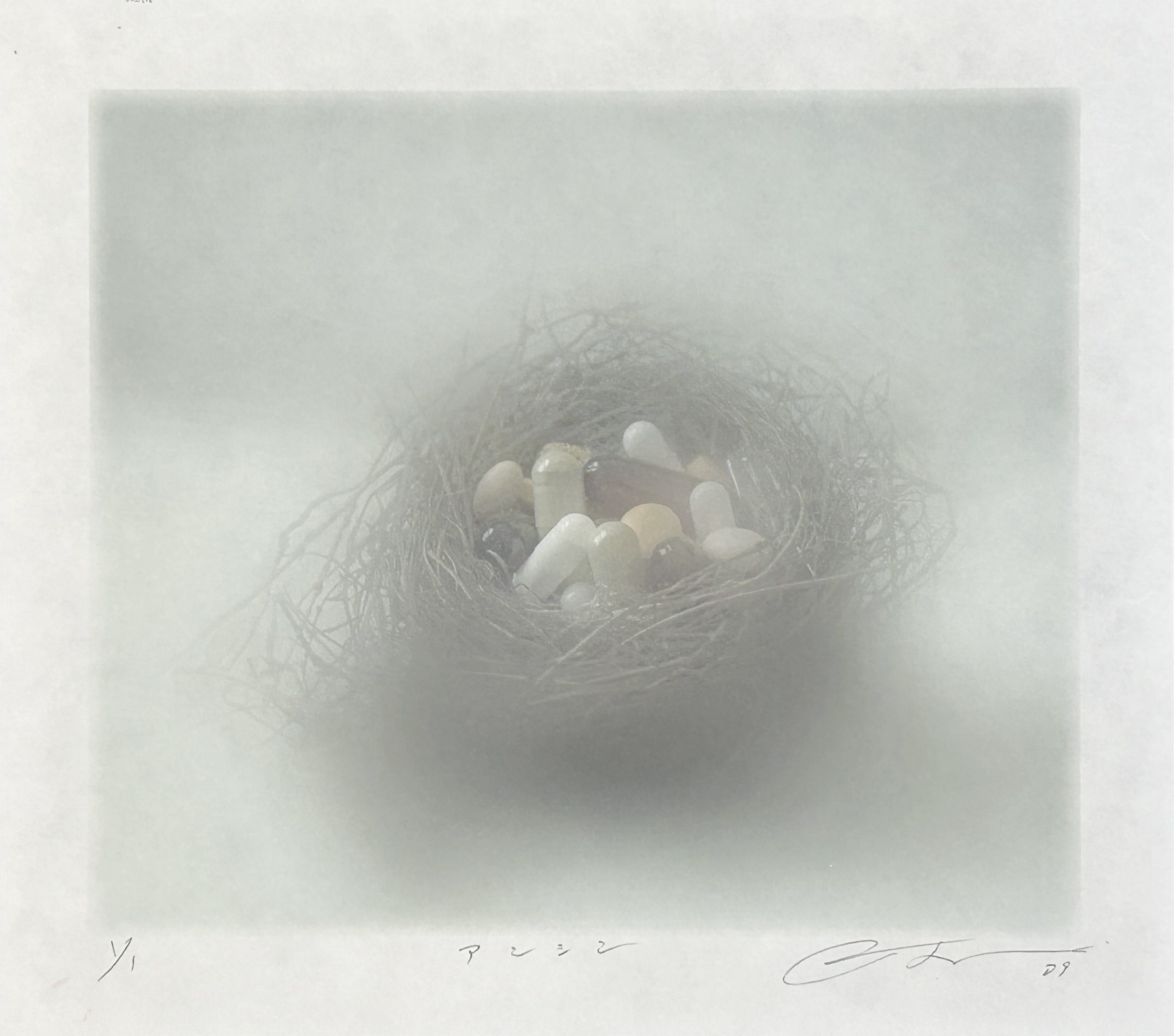 幻想のパランプセスト ～架空の美術庭園～ vol. 7 藤浪理恵子 – 不忍