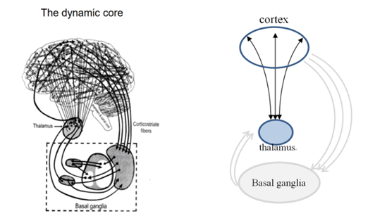 脳科学と心理療法（7）解離性障害の脳科学・その2──人間の脳は