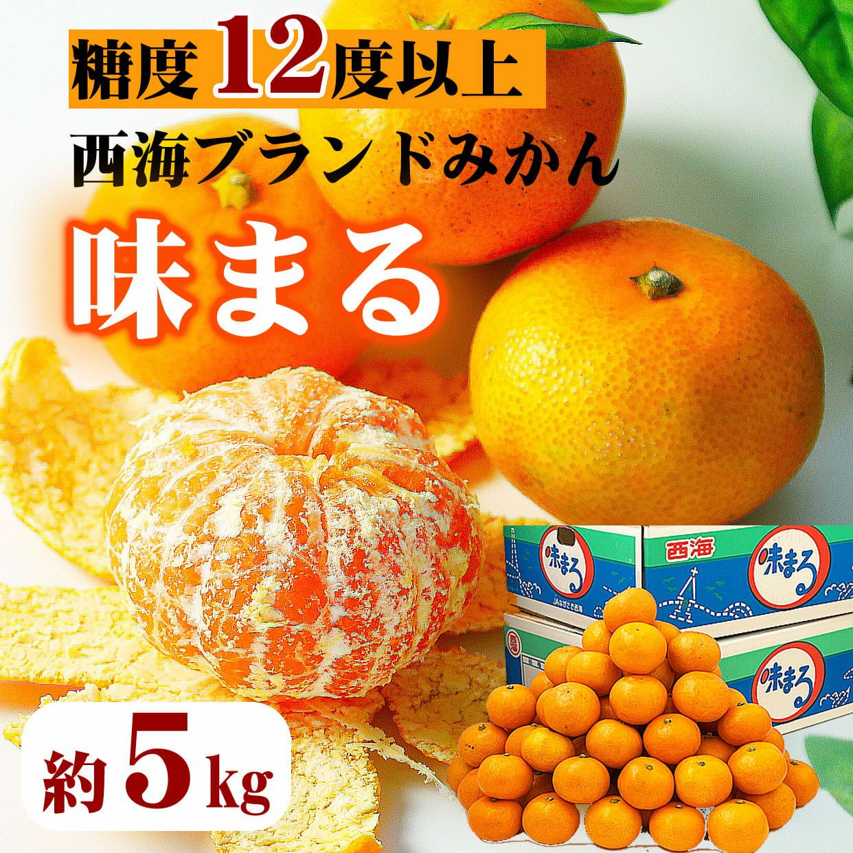 000000000532-01.jpg?size=m&w=