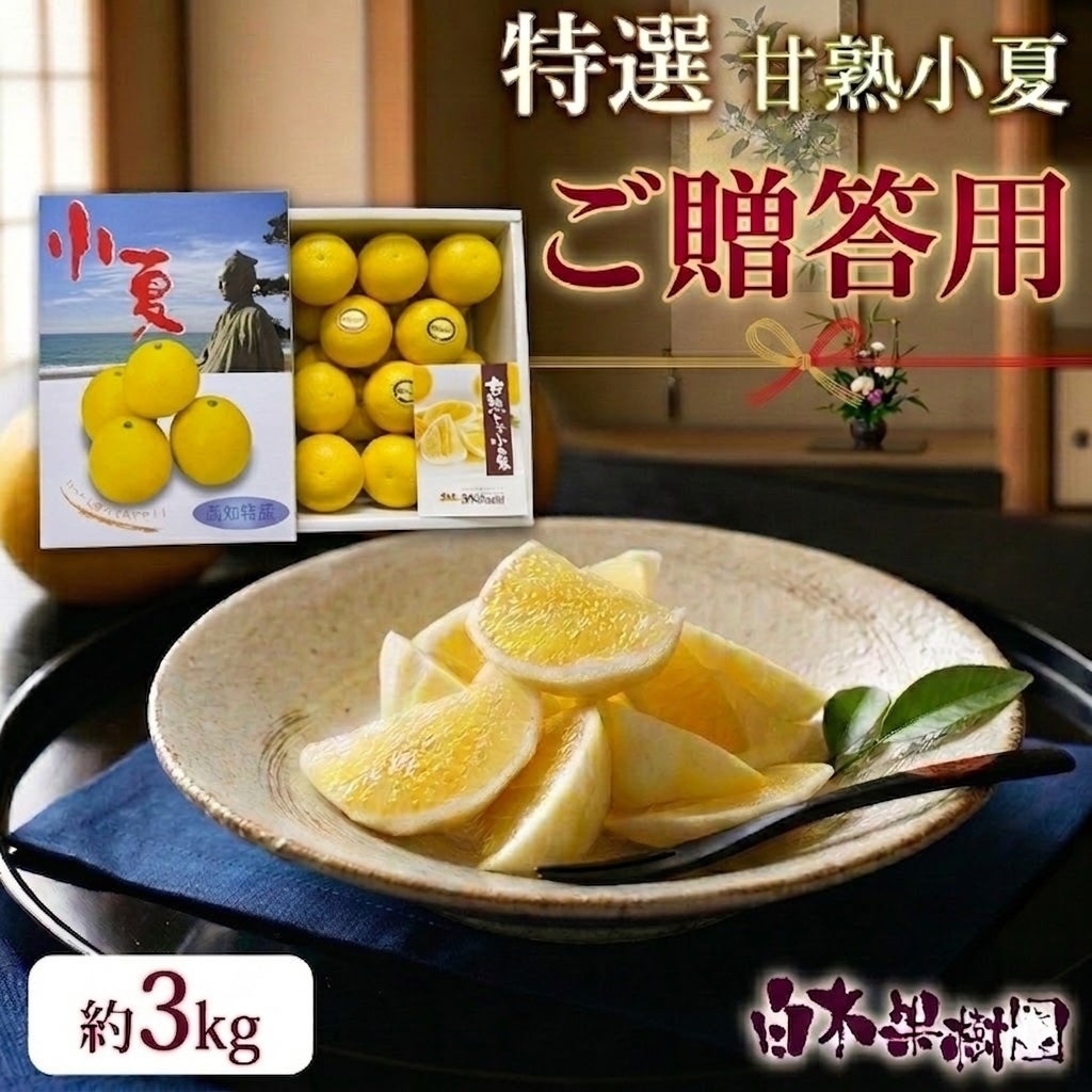 園主のおすすめ