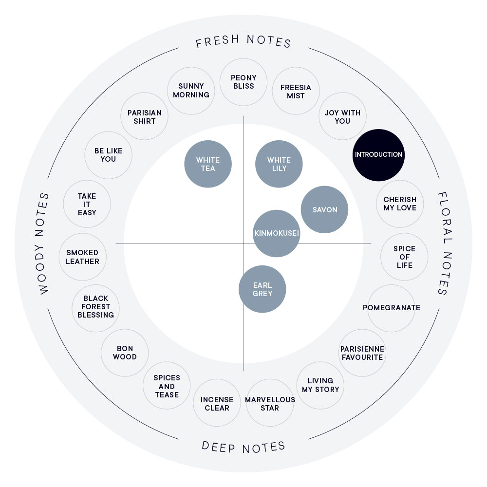 INTRODUCTION EAU DE PARFUM (100ML/50ML) – SHIRO US Online Store