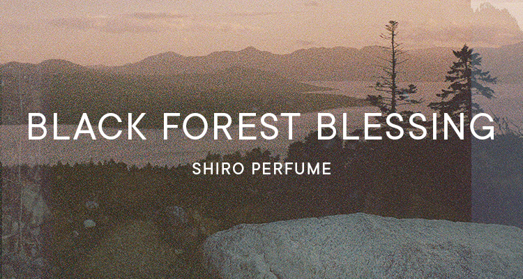 ブラックフォレストブレッシングの香り全製品 | SHIROオフィシャルサイト