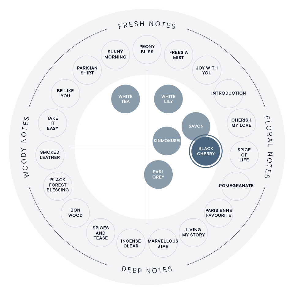 ブラックチェリー ヘアバーム | SHIROオフィシャルサイト