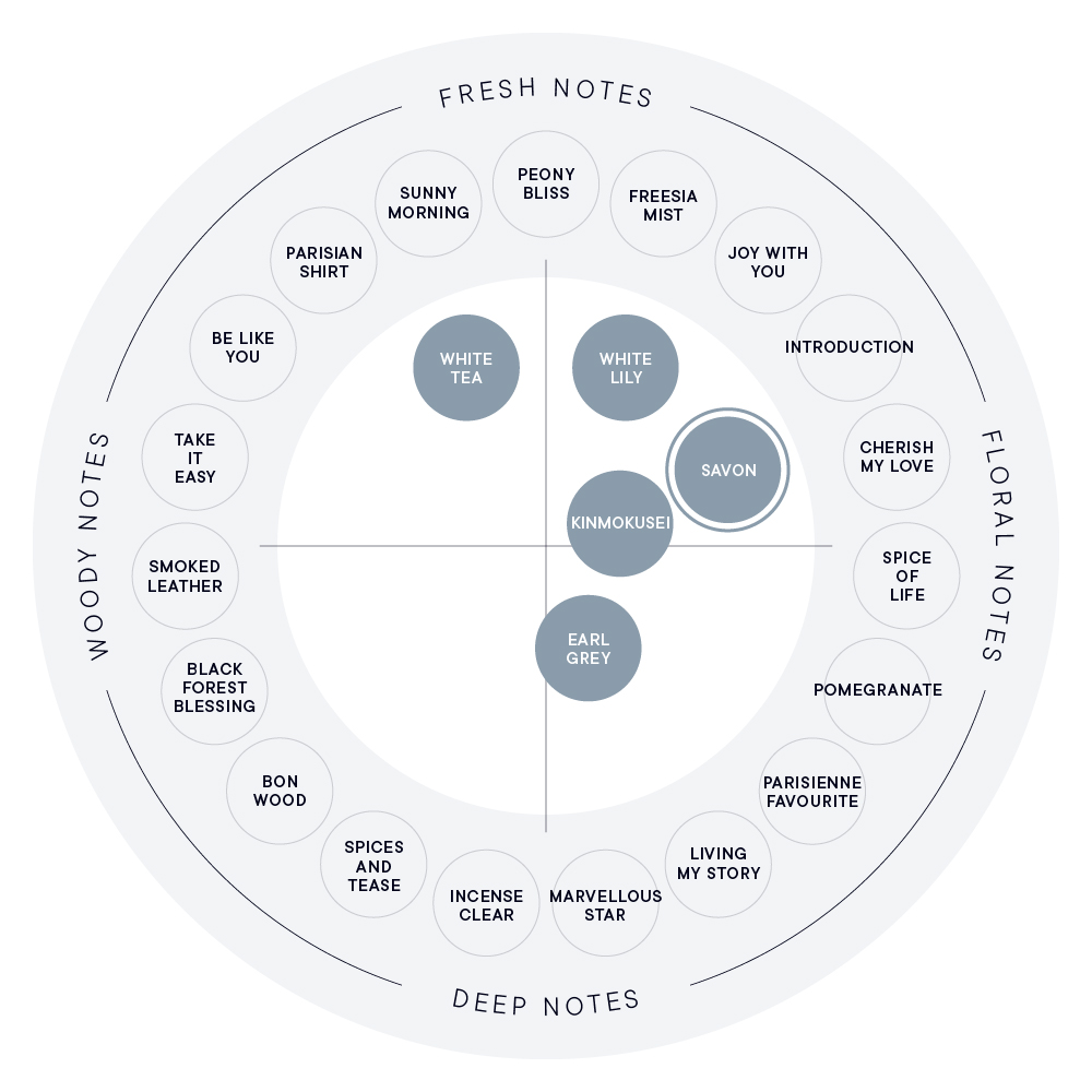 サボン ボディケアキット（ボディソープ＆ボディオイル） | SHIRO