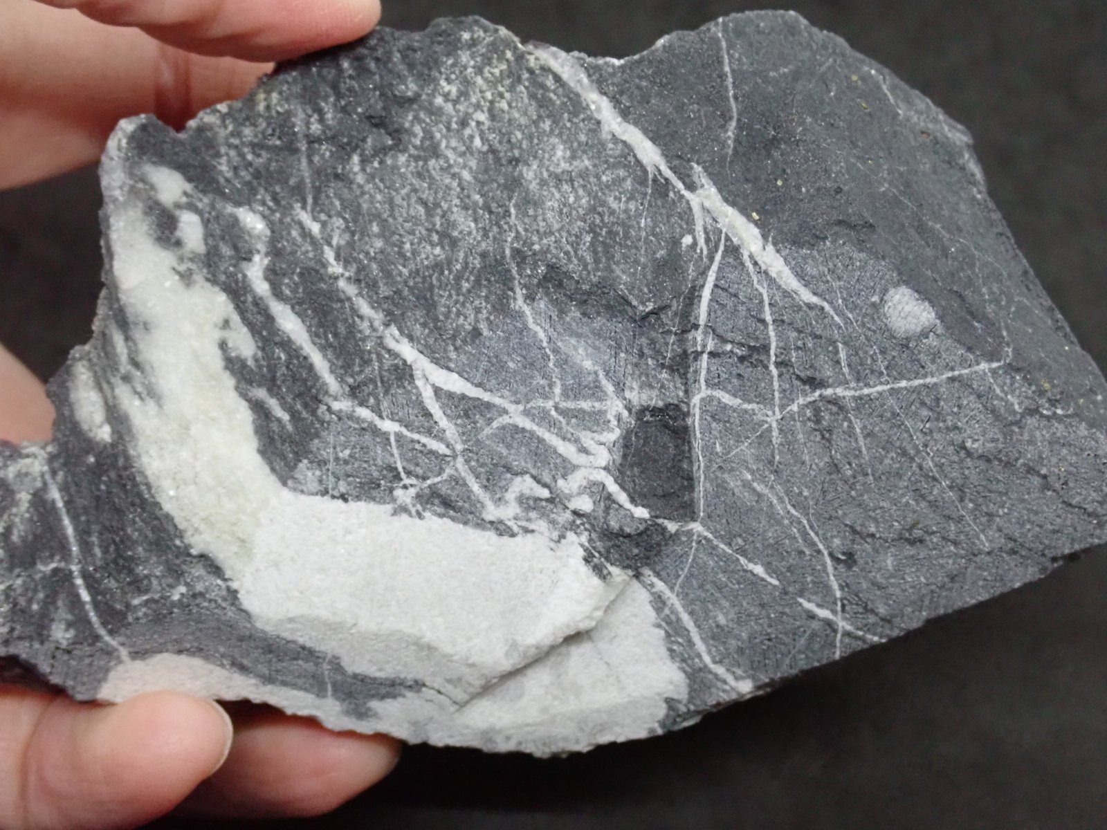 中国福建省産 フローライト【251105】 - シーサーズ・ラボ