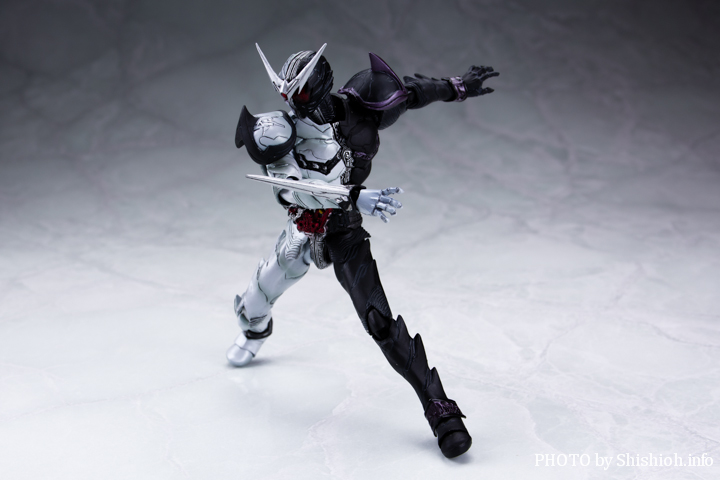 2017年5月24日【今日のフォトショット!】S.I.C 仮面ライダーW