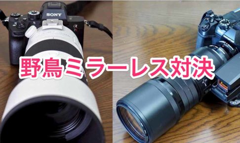 SONYのミラーレスカメラ『α7RIII』は野鳥撮影に使えるか？ | SIMS LAB