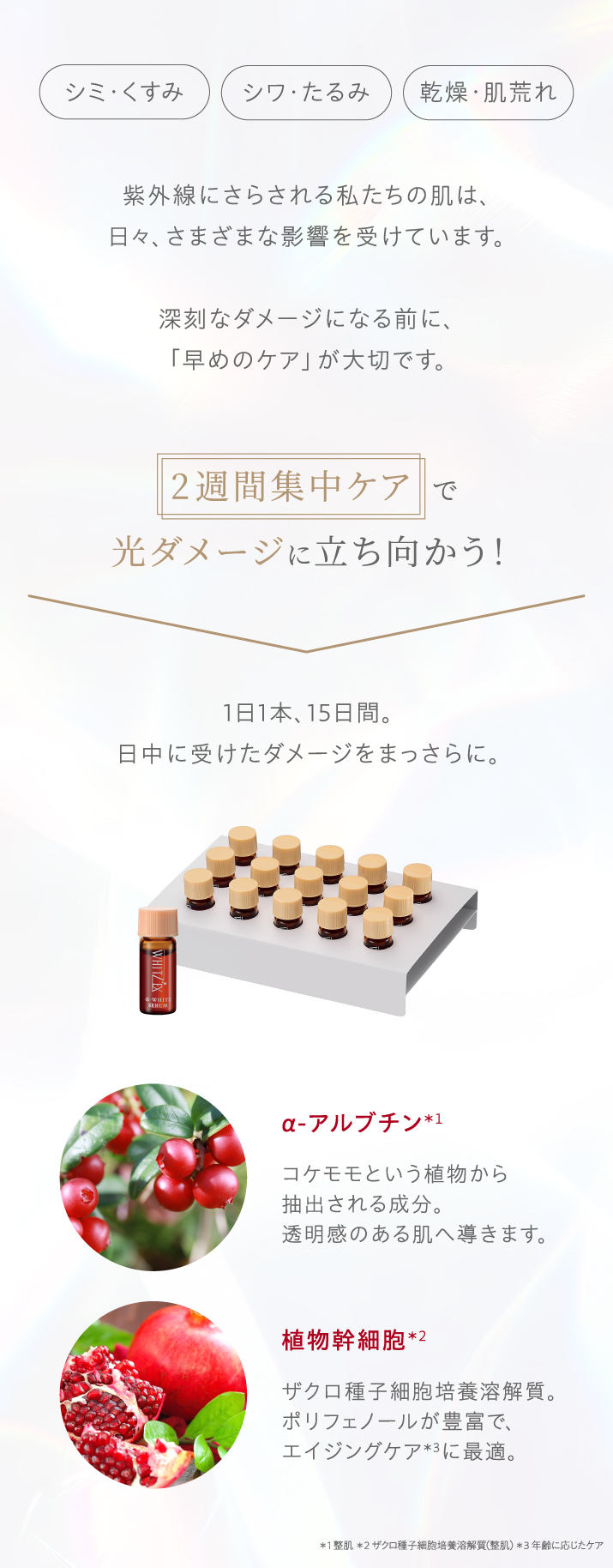 エステサロン品質、ゲル化粧品のラシンシア公式ショップホワイツエクス