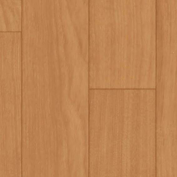 シンコール | CHD1325 | ポンリューム2024-2027