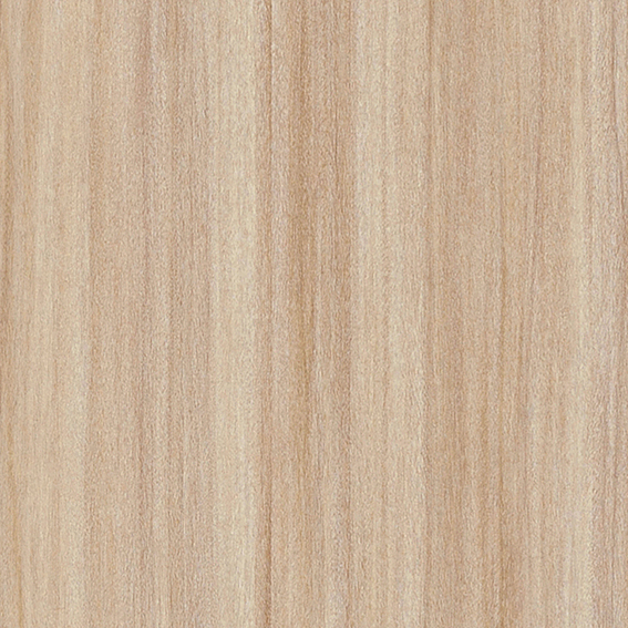 シンコール | BB2537 | 2025 BEST